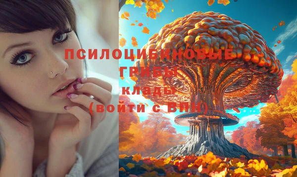 ПСИЛОЦИБИНОВЫЕ ГРИБЫ Баксан