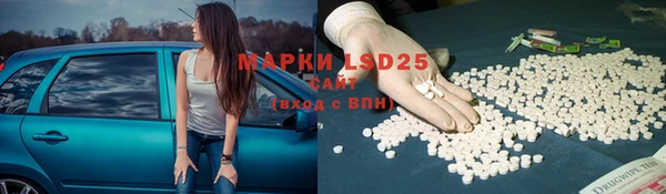 ПСИЛОЦИБИНОВЫЕ ГРИБЫ Баксан