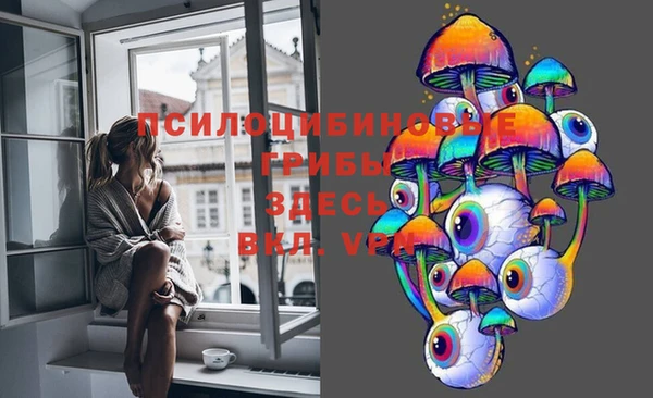 ПСИЛОЦИБИНОВЫЕ ГРИБЫ Баксан