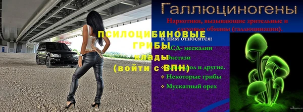ПСИЛОЦИБИНОВЫЕ ГРИБЫ Баксан