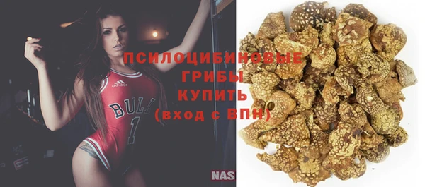 ПСИЛОЦИБИНОВЫЕ ГРИБЫ Баксан